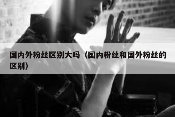国内外粉丝区别大吗（国内粉丝和国外粉丝的区别） 第1张