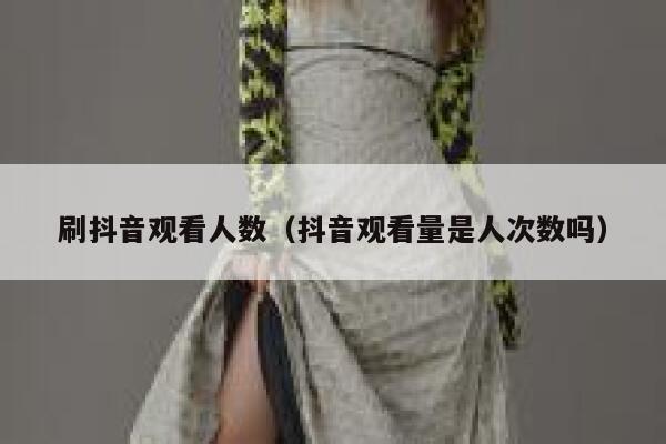 刷抖音观看人数（抖音观看量是人次数吗） 第1张