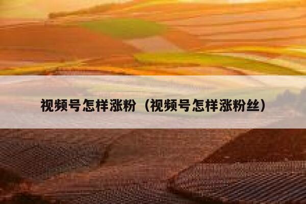 视频号怎样涨粉（视频号怎样涨粉丝） 第1张