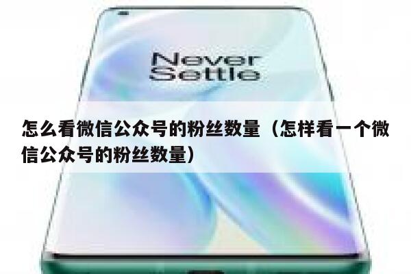 怎么看微信公众号的粉丝数量（怎样看一个微信公众号的粉丝数量） 第1张