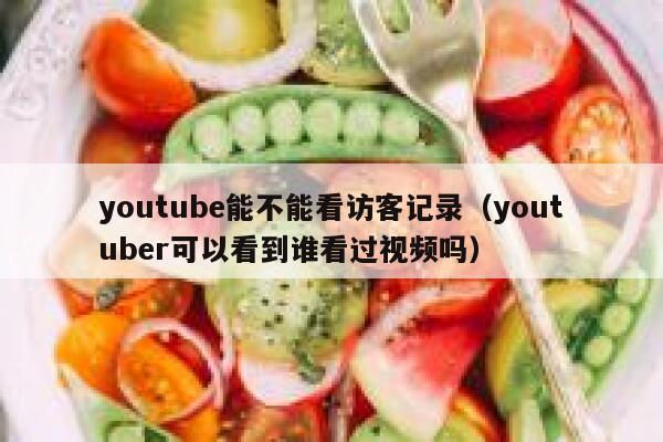 youtube能不能看访客记录（youtuber可以看到谁看过视频吗） 第1张