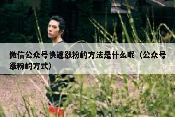 微信公众号快速涨粉的方法是什么呢（公众号涨粉的方式） 第1张
