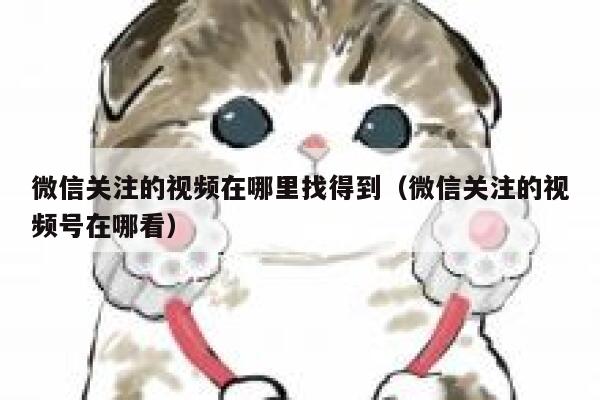 微信关注的视频在哪里找得到（微信关注的视频号在哪看） 第1张