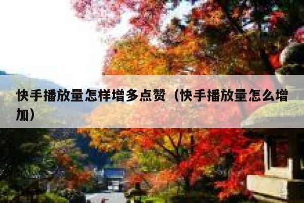 快手播放量怎样增多点赞（快手播放量怎么增加） 第1张