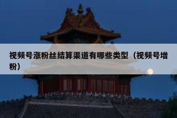视频号涨粉丝结算渠道有哪些类型（视频号增粉） 第1张