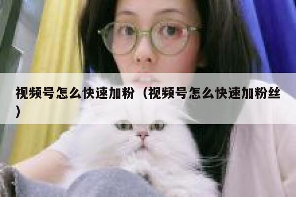 视频号怎么快速加粉（视频号怎么快速加粉丝） 第1张