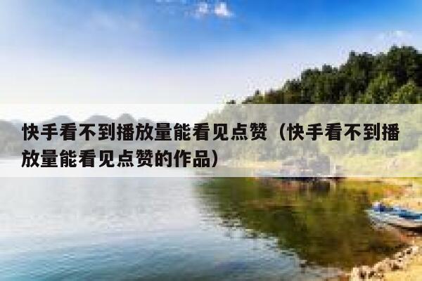 快手看不到播放量能看见点赞（快手看不到播放量能看见点赞的作品） 第1张
