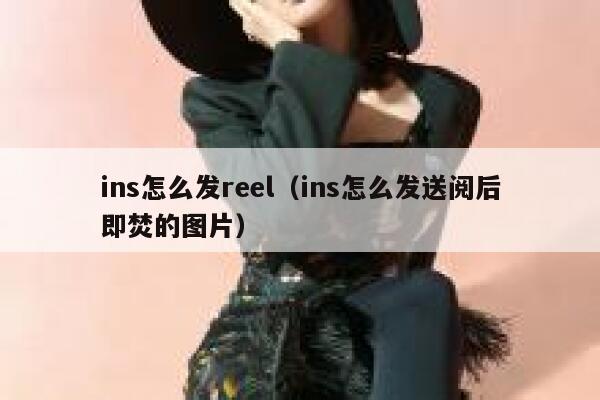 ins怎么发reel（ins怎么发送阅后即焚的图片） 第1张