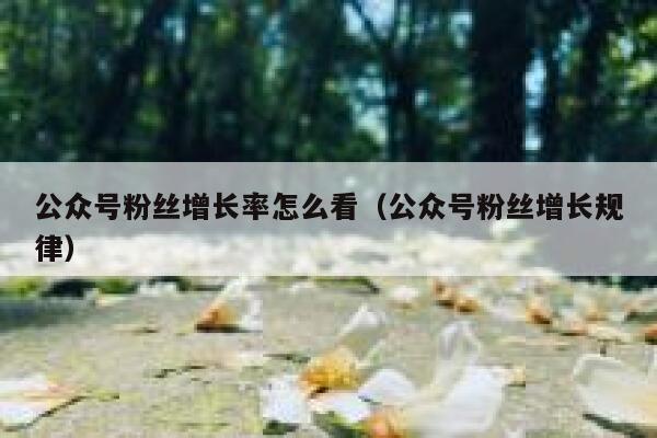 公众号粉丝增长率怎么看（公众号粉丝增长规律） 第1张