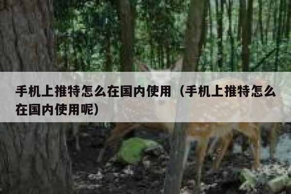 手机上推特怎么在国内使用（手机上推特怎么在国内使用呢） 第1张
