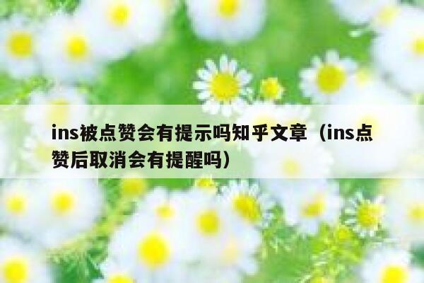 ins被点赞会有提示吗知乎文章（ins点赞后取消会有提醒吗） 第1张