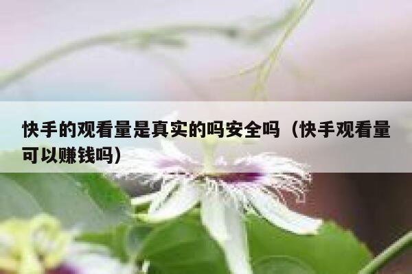 快手的观看量是真实的吗安全吗（快手观看量可以赚钱吗） 第1张