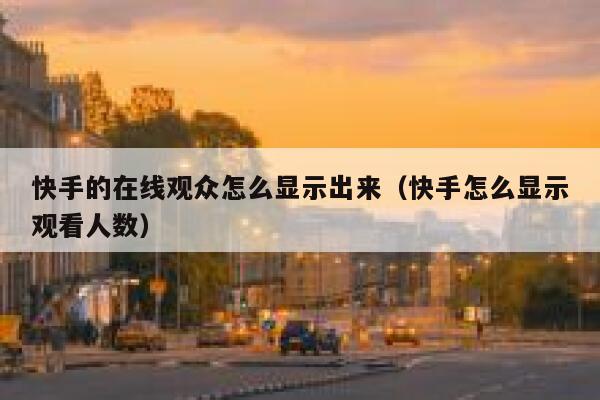 快手的在线观众怎么显示出来(快手怎么显示观看人数) 第1张 快手的在线观众怎么显示出来(快手怎么显示观看人数) 第1张