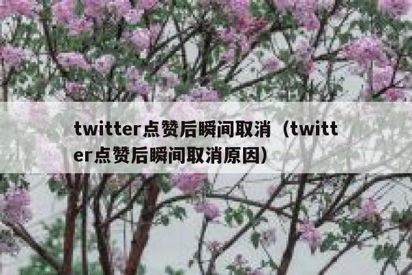twitter点赞后瞬间取消（twitter点赞后瞬间取消原因） 第1张