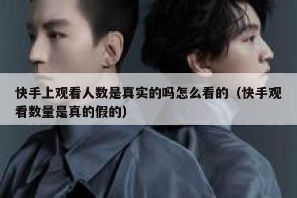 快手上观看人数是真实的吗怎么看的（快手观看数量是真的假的） 第1张
