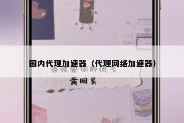 国内代理加速器(代理网络加速器) 第1张 国内代理加速器(代理网络加速器) 第1张