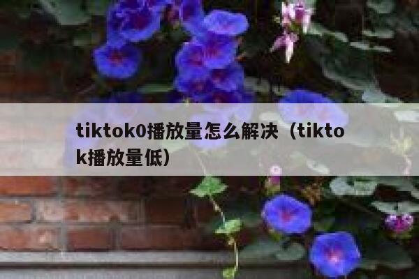 tiktok0播放量怎么解决(tiktok播放量低) 第1张 tiktok0播放量怎么解决(tiktok播放量低) 第1张