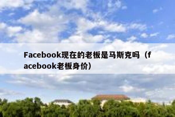 Facebook现在的老板是马斯克吗（facebook老板身价） 第1张