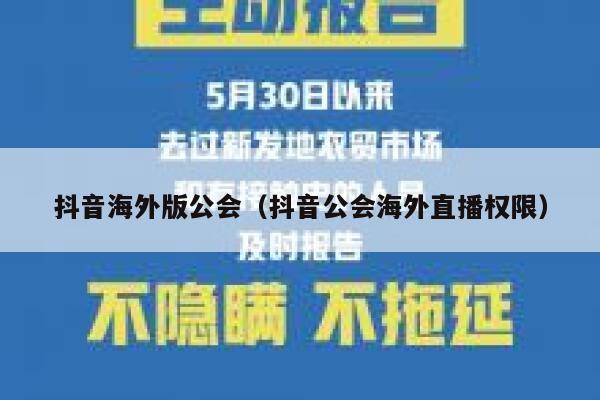 抖音海外版公会（抖音公会海外直播权限） 第1张