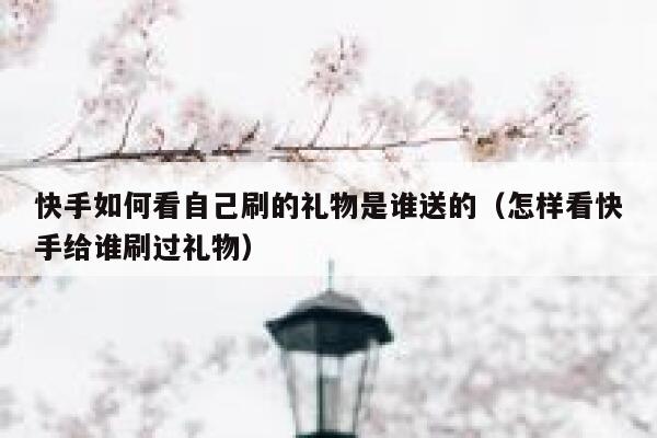 快手如何看自己刷的礼物是谁送的（怎样看快手给谁刷过礼物） 第1张