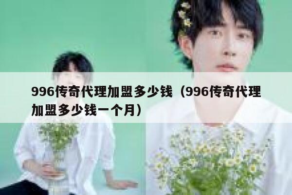 996传奇代理加盟多少钱（996传奇代理加盟多少钱一个月） 第1张