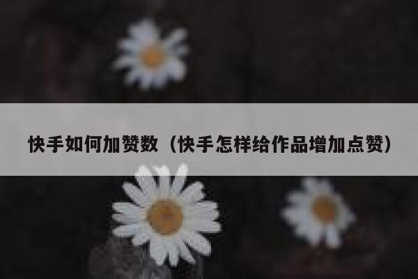 快手如何加赞数(快手怎样给作品增加点赞) 第1张 快手如何加赞数(快手怎样给作品增加点赞) 第1张