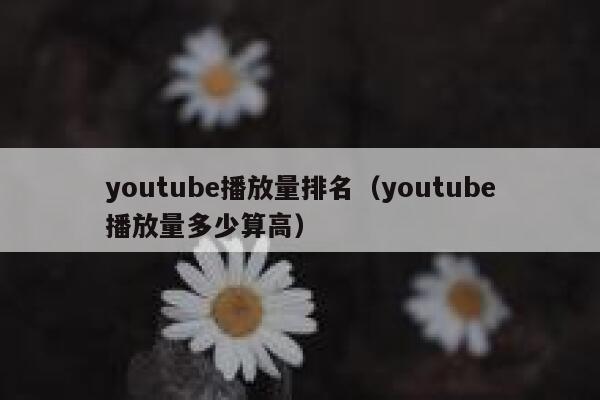 youtube播放量排名（youtube播放量多少算高） 第1张