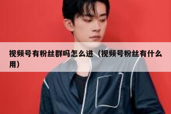 视频号有粉丝群吗怎么进(视频号粉丝有什么用) 第1张 视频号有粉丝群吗怎么进(视频号粉丝有什么用) 第1张