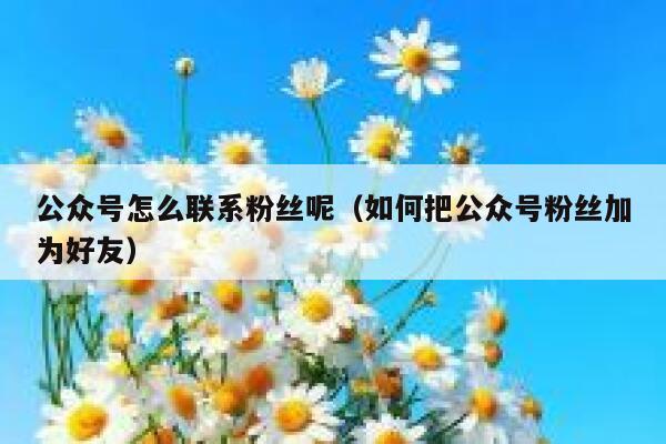 公众号怎么联系粉丝呢（如何把公众号粉丝加为好友） 第1张