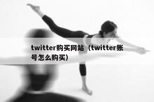 twitter购买网站（twitter账号怎么购买） 第1张