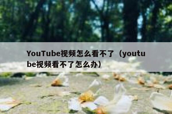 YouTube视频怎么看不了(youtube视频看不了怎么办) 第1张 YouTube视频怎么看不了(youtube视频看不了怎么办) 第1张