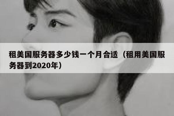 租美国服务器多少钱一个月合适（租用美国服务器到2020年） 第1张
