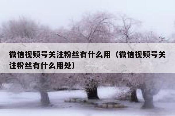 微信视频号关注粉丝有什么用(微信视频号关注粉丝有什么用处) 第1张 微信视频号关注粉丝有什么用(微信视频号关注粉丝有什么用处) 第1张