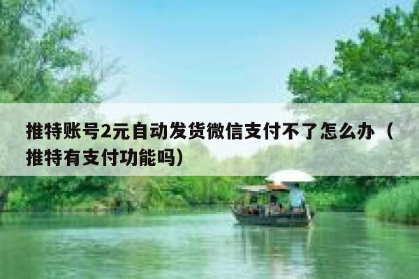 推特账号2元自动发货微信支付不了怎么办(推特有支付功能吗) 第1张 推特账号2元自动发货微信支付不了怎么办(推特有支付功能吗) 第1张
