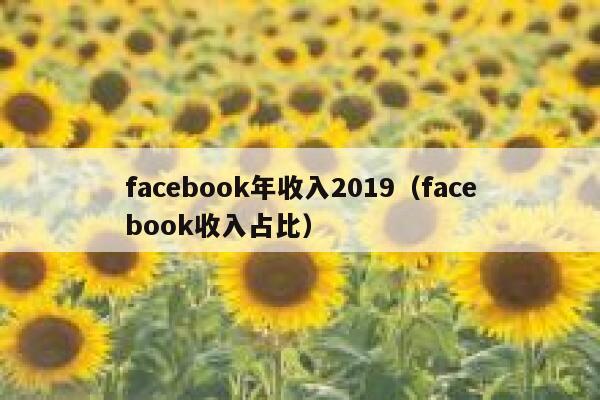 facebook年收入2019(facebook收入占比) 第1张 facebook年收入2019(facebook收入占比) 第1张