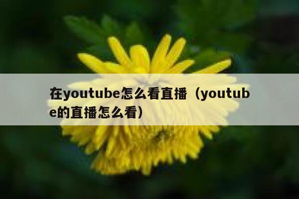 在youtube怎么看直播(youtube的直播怎么看) 第1张 在youtube怎么看直播(youtube的直播怎么看) 第1张