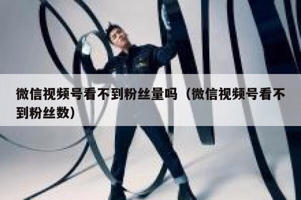 微信视频号看不到粉丝量吗(微信视频号看不到粉丝数) 第1张 微信视频号看不到粉丝量吗(微信视频号看不到粉丝数) 第1张