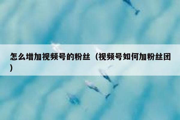 怎么增加视频号的粉丝（视频号如何加粉丝团） 第1张