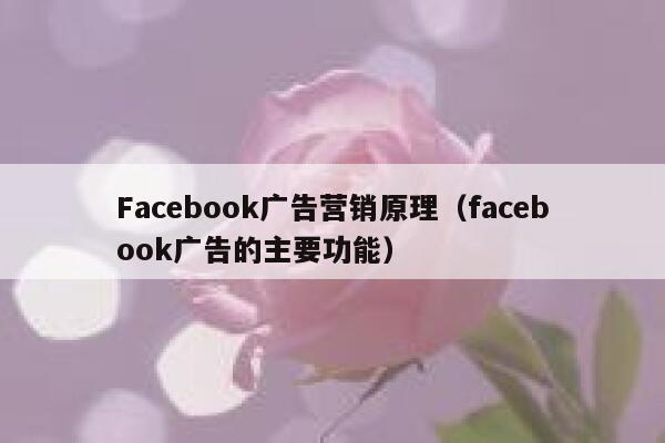 Facebook广告营销原理（facebook广告的主要功能） 第1张