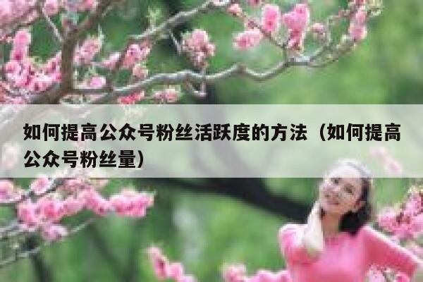 如何提高公众号粉丝活跃度的方法(如何提高公众号粉丝量) 第1张 如何提高公众号粉丝活跃度的方法(如何提高公众号粉丝量) 第1张