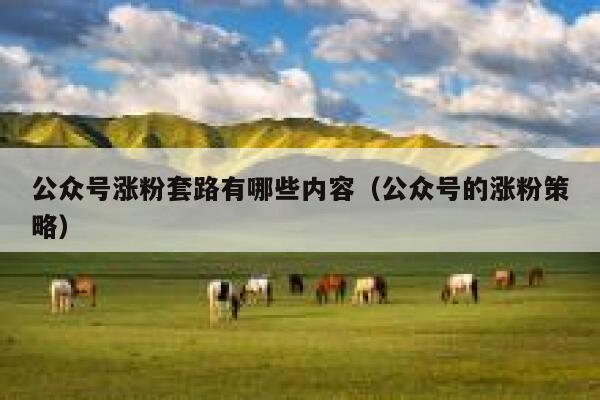 公众号涨粉套路有哪些内容(公众号的涨粉策略) 第1张 公众号涨粉套路有哪些内容(公众号的涨粉策略) 第1张