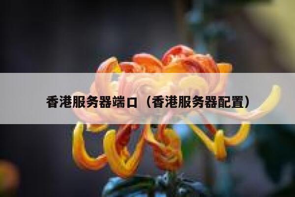香港服务器端口（香港服务器配置） 第1张