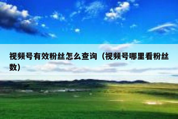 视频号有效粉丝怎么查询(视频号哪里看粉丝数) 第1张 视频号有效粉丝怎么查询(视频号哪里看粉丝数) 第1张