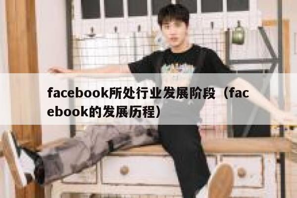 facebook所处行业发展阶段（facebook的发展历程） 第1张