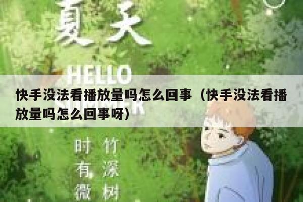 快手没法看播放量吗怎么回事（快手没法看播放量吗怎么回事呀） 第1张