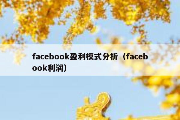 facebook盈利模式分析（facebook利润） 第1张