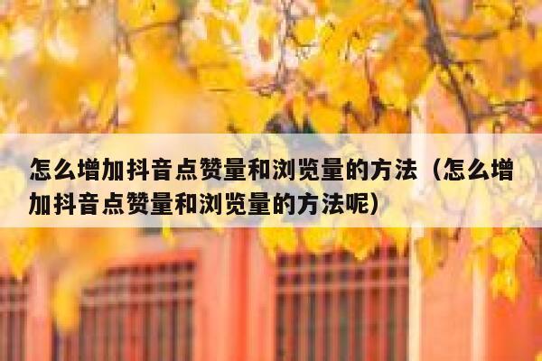 怎么增加抖音点赞量和浏览量的方法（怎么增加抖音点赞量和浏览量的方法呢） 第1张