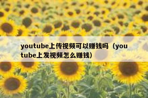youtube上传视频可以赚钱吗（youtube上发视频怎么赚钱） 第1张