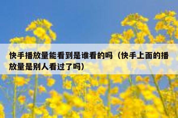 快手播放量能看到是谁看的吗（快手上面的播放量是别人看过了吗） 第1张