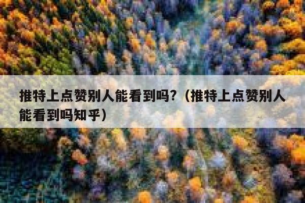 推特上点赞别人能看到吗?（推特上点赞别人能看到吗知乎） 第1张